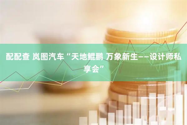 配配查 岚图汽车“天地鲲鹏 万象新生——设计师私享会”