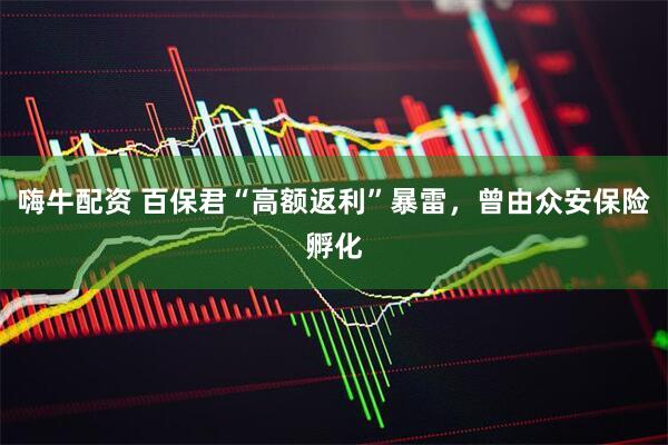 嗨牛配资 百保君“高额返利”暴雷，曾由众安保险孵化