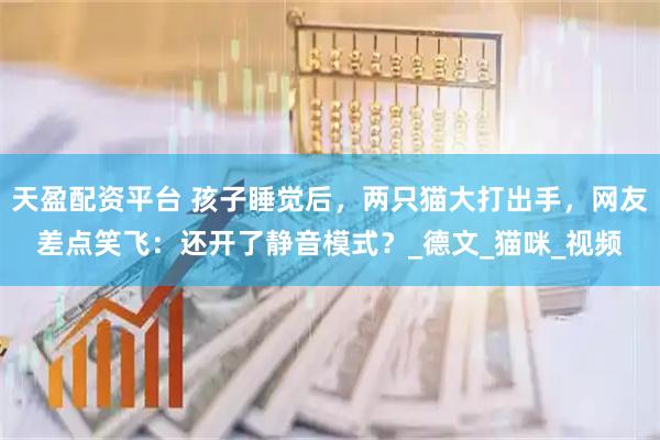 天盈配资平台 孩子睡觉后，两只猫大打出手，网友差点笑飞：还开了静音模式？_德文_猫咪_视频